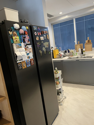 St. Regis Residences (D10), Apartment #350006241